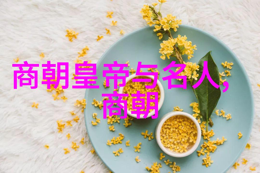 北伐与南渡南宋对抗金国保住江南根基