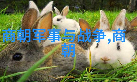 胡颖欣京剧代表人票友心中的艺术之星