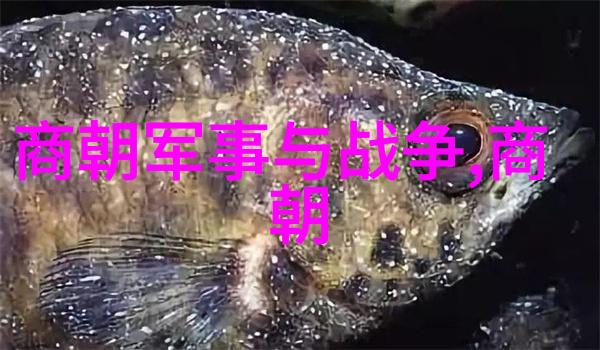 乾隆帝子孙哀 premature death 的谜题