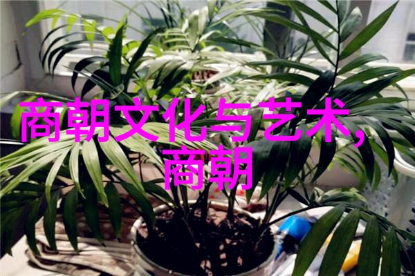 明朝那些事儿第四部孙一我是孙一这个时代的逆袭者