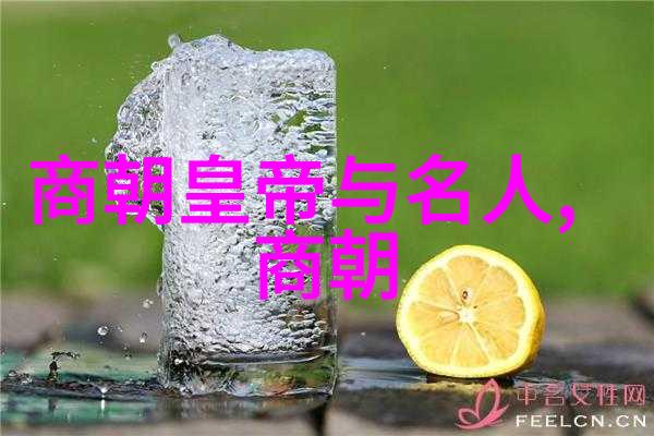 十大看黄台APP软件下载免费IOS简介