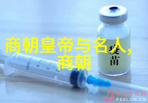 明朝衰败的征兆与关键时刻