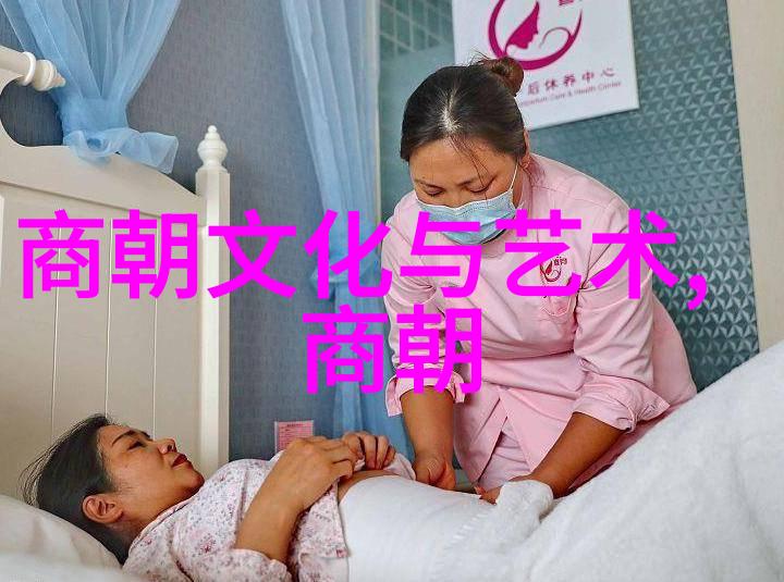 中华文明的辉煌历程从黄帝到清朝的变迁与成就