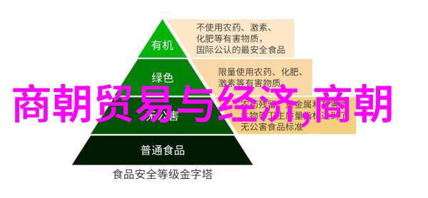 宋朝时期的邻国与邦交探索中国历史上的多元世界