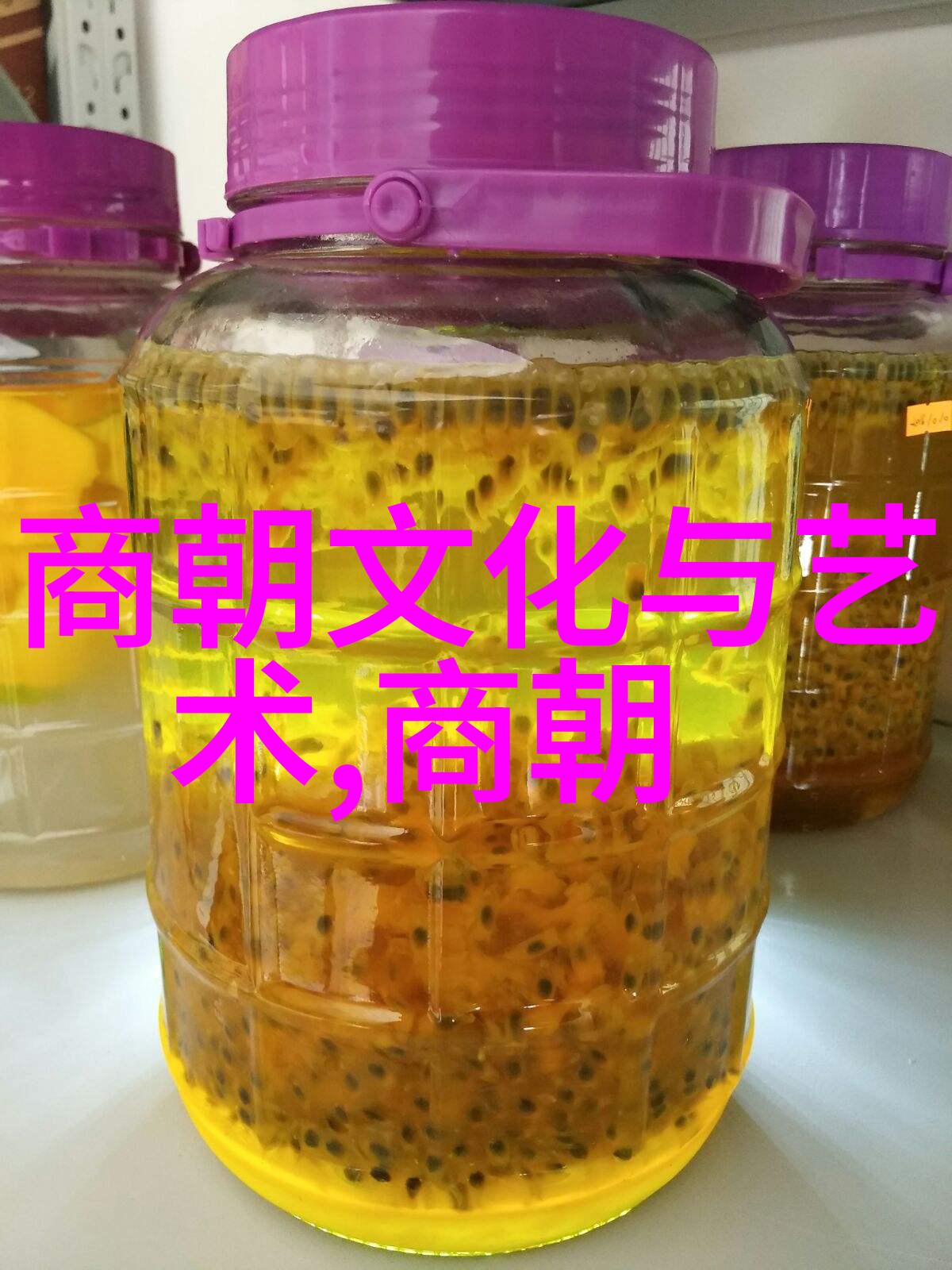 如何通过现代科技手段保护并发扬传统上的明代历代家谱