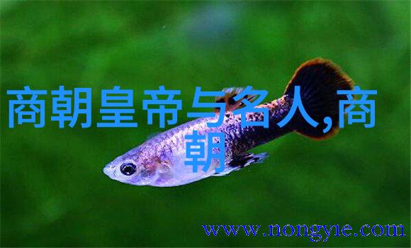 明朝朱常洛去世后福王为何未能继位的历史原因分析