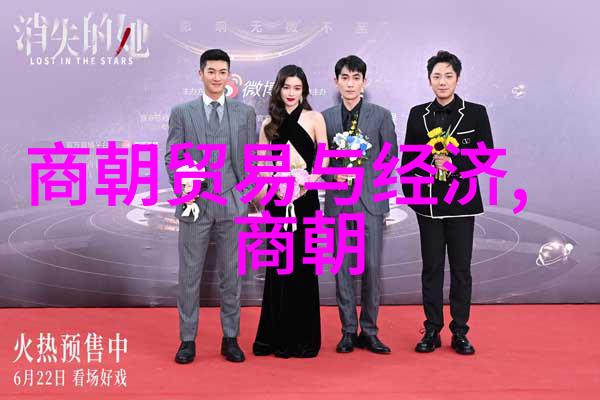 等你的星光一段跨越时空的爱情故事