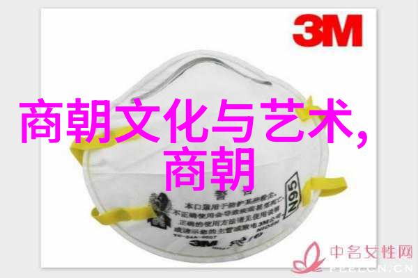 北宋灭亡历史上的那场终章我是如何看待北宋末年的那些事儿