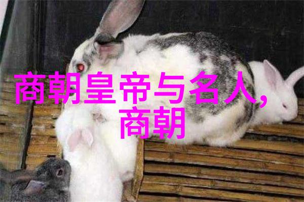 徐志远龙女黄梅戏的音乐魅力在物品间绘声绘影