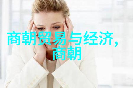 明朝著名历史事件明成祖迁都北京永乐盛世
