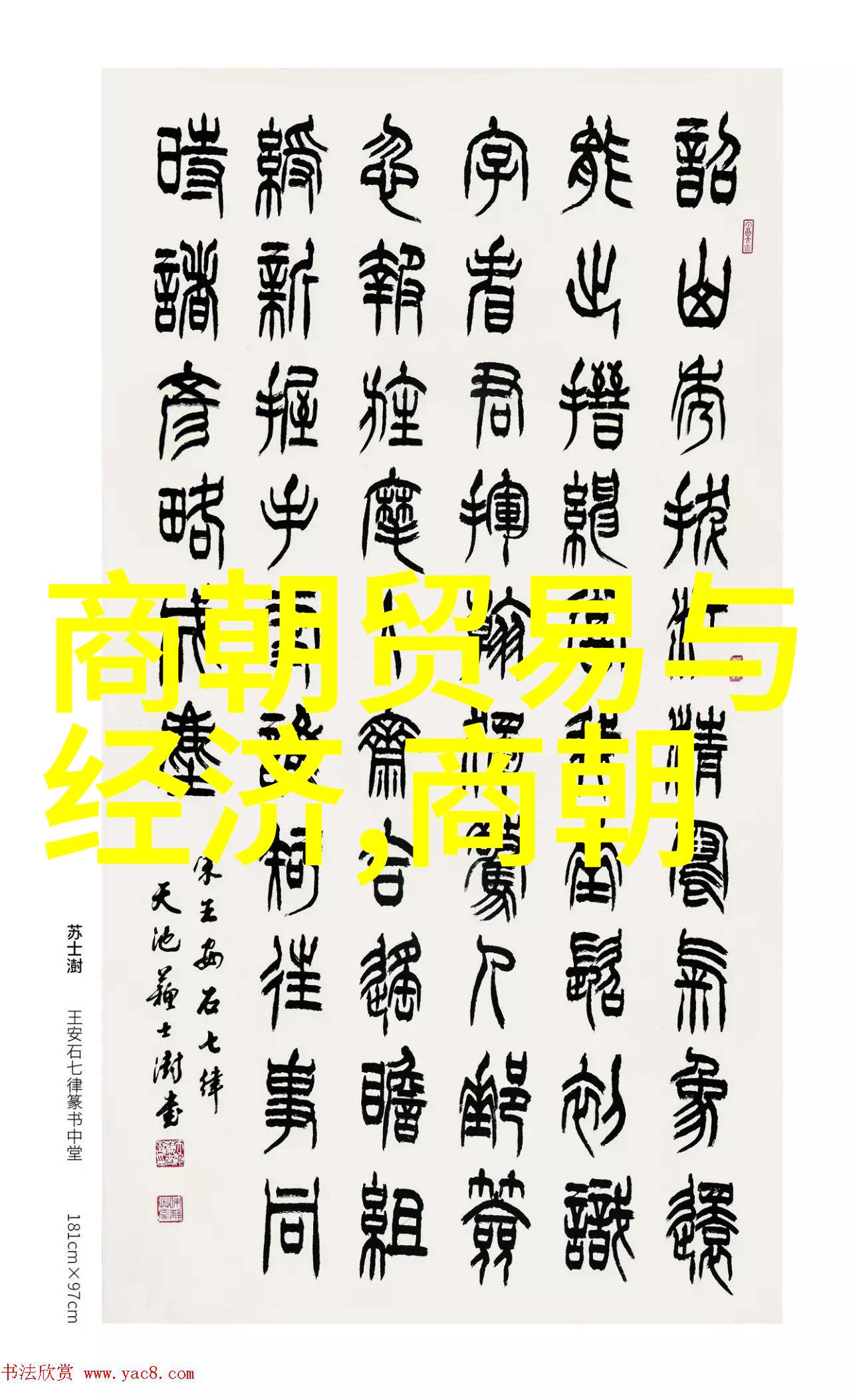 南宋覆灭元朝征兵力劣势内忧外患与统治危机的交织