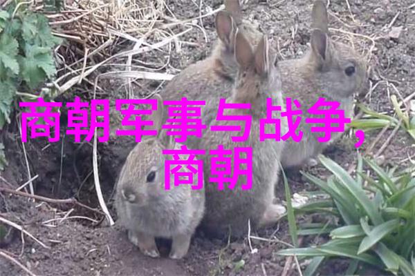 大明皇后孙若微传忠诚与美丽的双重篇章