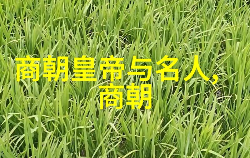明朝那些事有声小说-时光机器的旋律揭秘明代轶事与历史奇缘