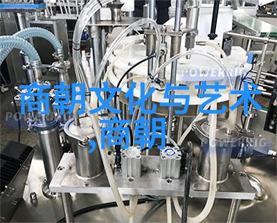 从文献到实物探索南宋和北宋遗留文物