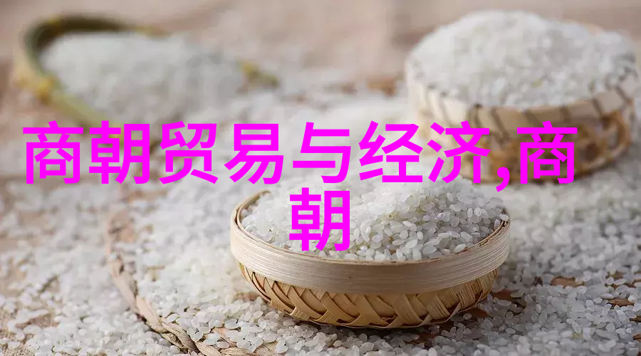 时光倒流我们能从中学习到哪些宝贵经验和教训