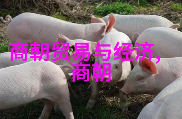 机器人与情感-泪池里的金属被自己买的机器人做到哭