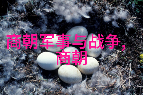 图例: 汉武帝时期四方会盟