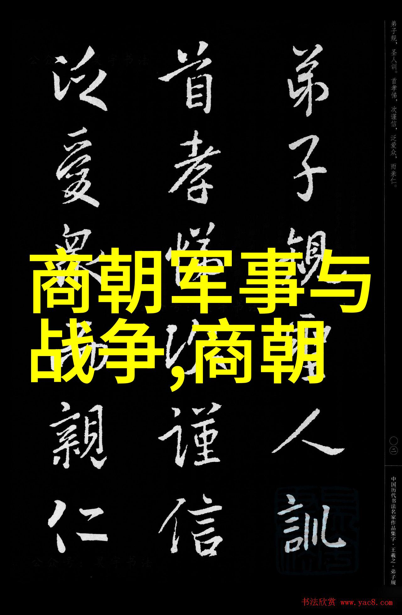 时光的回响一段尘封的誓言