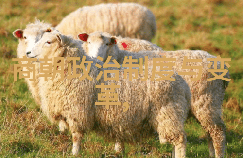 皇家园林里的风月情深元宫建筑艺术概述