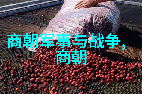大元国名之变迁探究