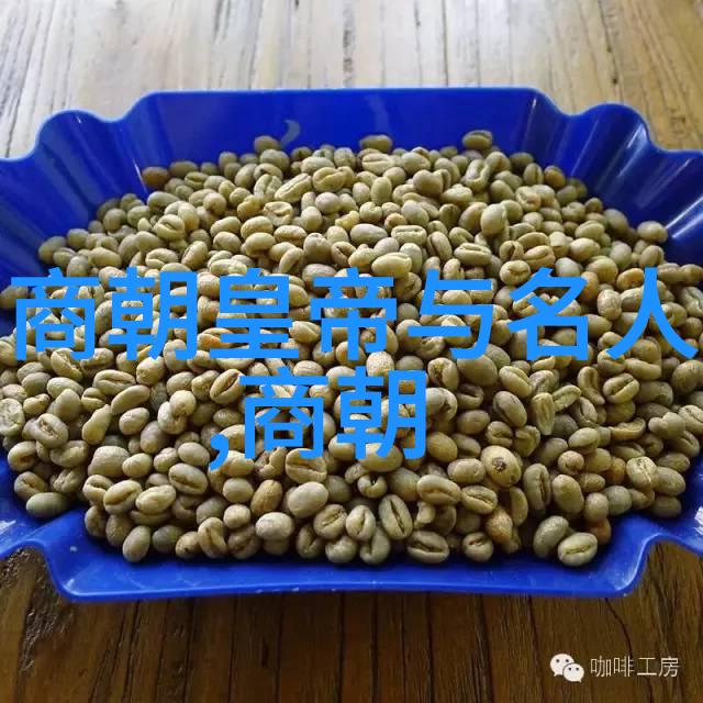 明代分期划界正统成化与弘治之变迁