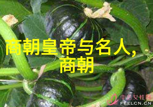 中国大明历史我国古代的辉煌与挑战从朱元璋到万历帝的治世平安