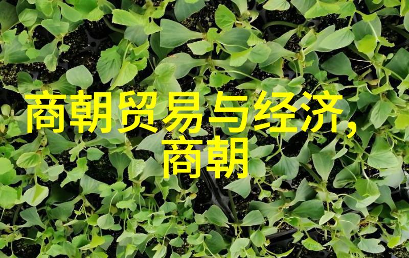 中国历史最长王朝-秦汉之光探索中国历史上最悠久的帝制王朝