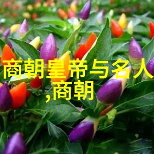 明朝那些事儿尘封的时光回响的历史
