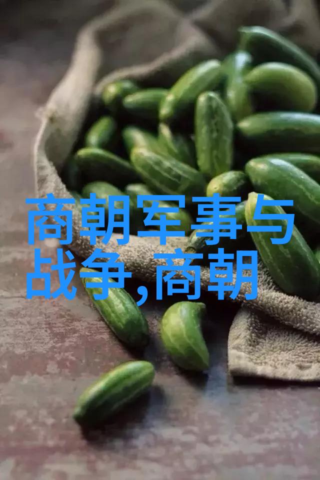 朱厚照又称明朝名人岂不令人怀疑他的故事背后隐藏着怎样的传奇