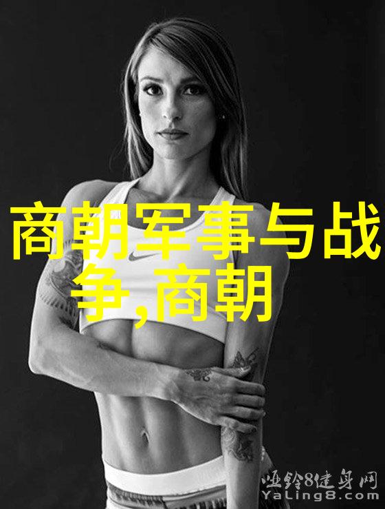 刘伯温为何只封个伯历史上的孤独称号与隐秘之谜