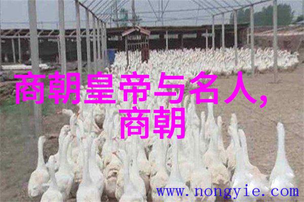 明朝煌烂史事伟人轨迹与历史风云