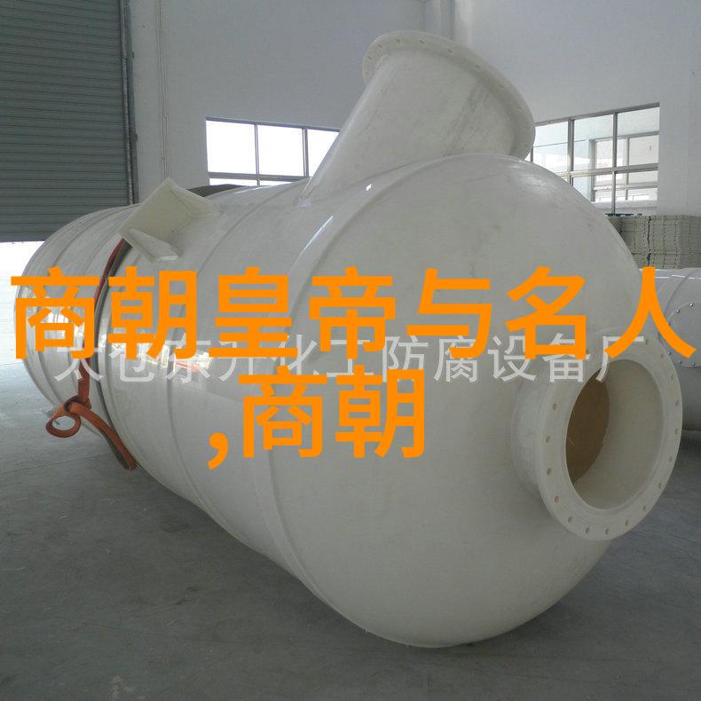 传统观念与现代认知重新审视元朝的外来身份