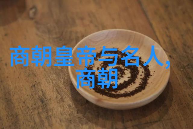 南诏国被唐朝灭掉的故事王化贞