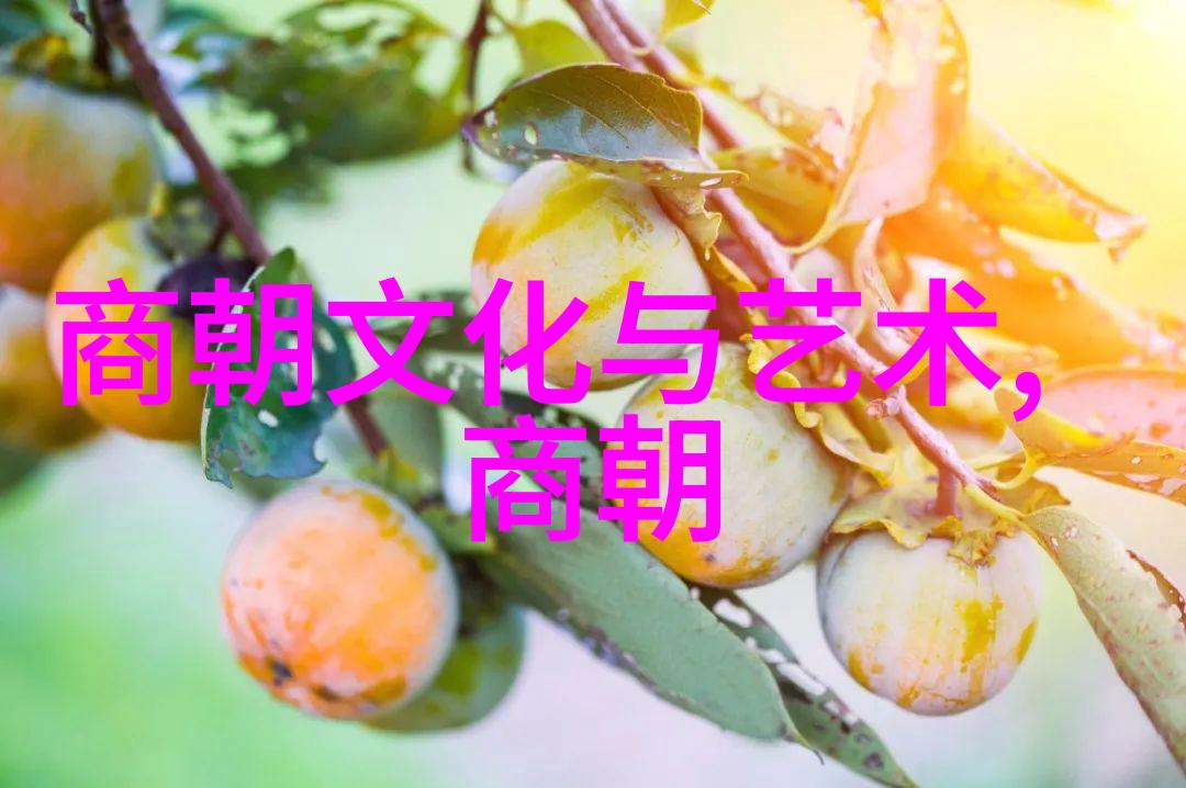 辉煌的元朝上下五千年的华夏故事