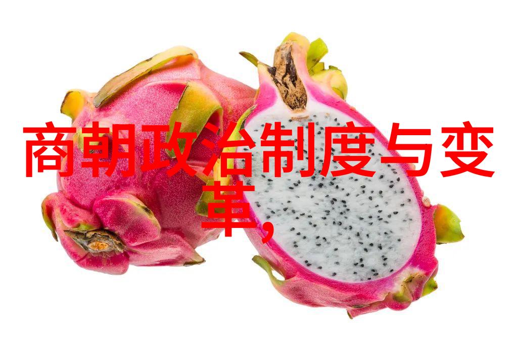 明朝那些事背后的历史深度与现代价值解读