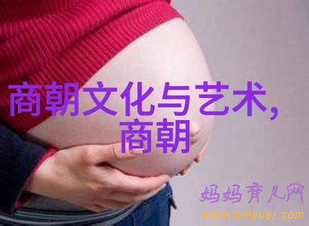 明朝皇帝们留下的遗产和故事为何能够吸引如此多的人群关注