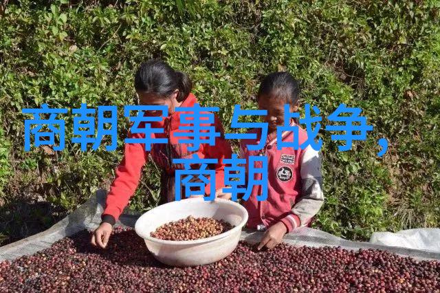 明朝那些事儿王更新免费听历史迷雾中的明朝故事