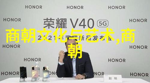明朝那些精彩瞬间的探究