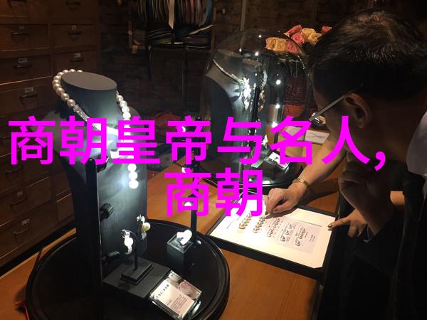 穿越时空的秘密图书馆揭秘明朝那些不可思议的故事