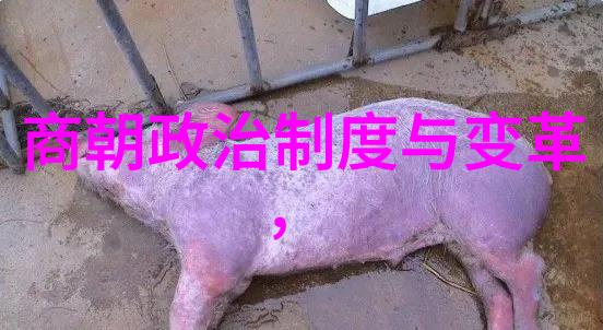 胡敌003社会的挑战者