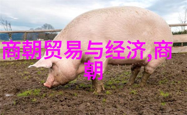 中国历史简表图-时光纬度解读中国历史简表图的奥秘