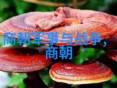 南明朝监国有谁我知道的那些被遗忘的监国大名
