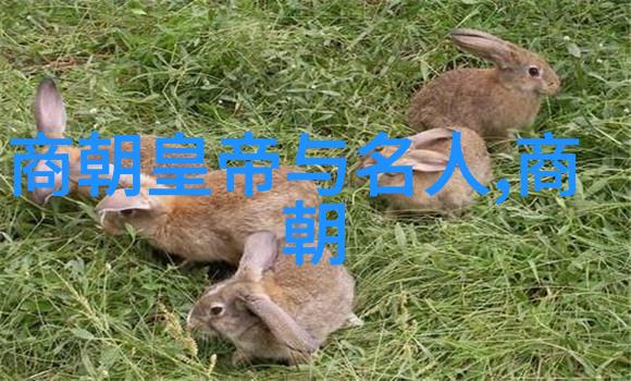 数据揭秘现代中国最厉害的人是谁