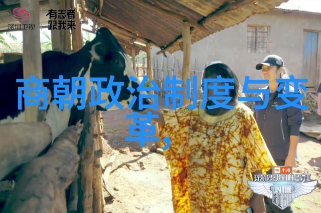 沈炼中国历史时间一览表在自然的长河中流淌
