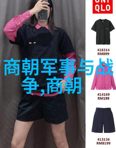 明朝那些事有声小说梦回长安的夜未央