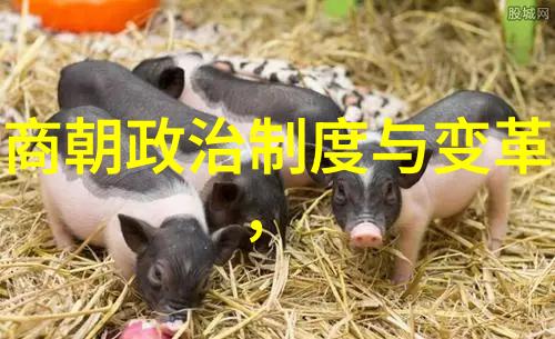 加载中清朝乾隆雍正排位咱们来一场历史的探险
