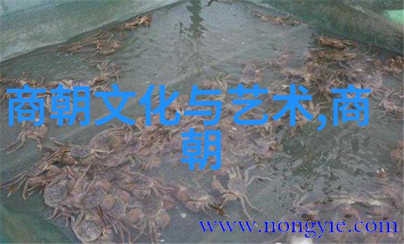 2022年真实搞笑新闻我是不是被这些新闻整晕了
