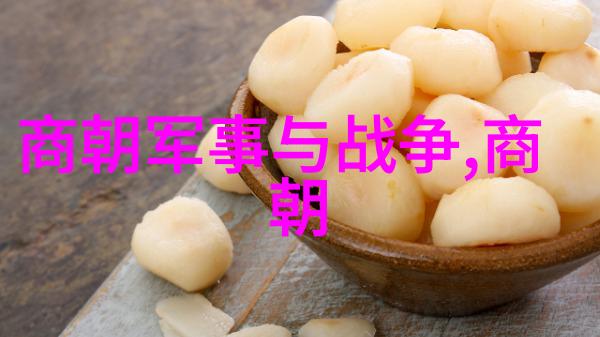 明朝覆灭的历史时刻明朝末年动乱与清军入侵