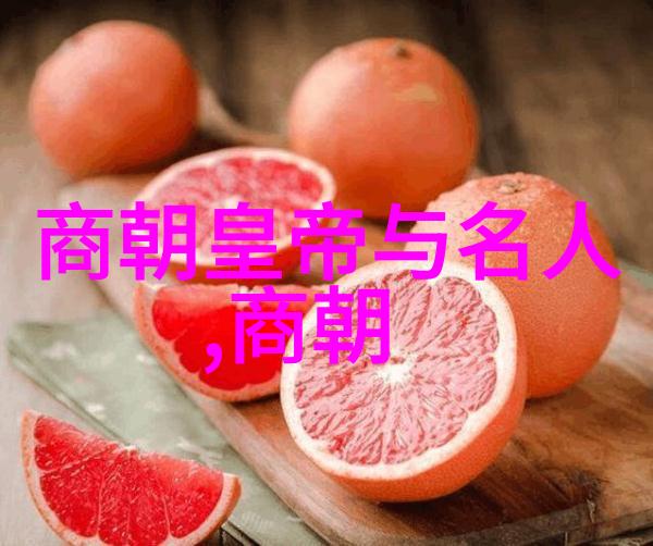明朝世系考究帝王继承与皇室亲缘