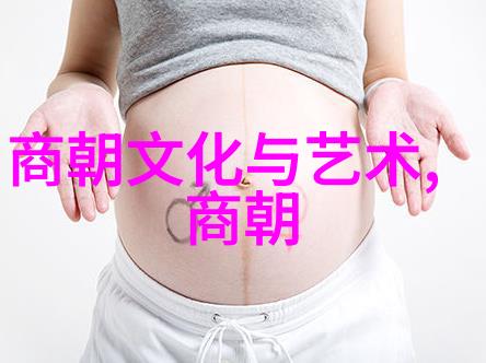 南诏国被宋朝灭掉的历史南诏之fall